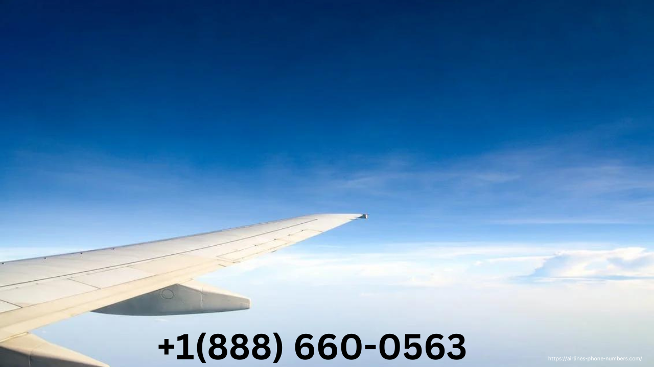 Airlines Phone Number